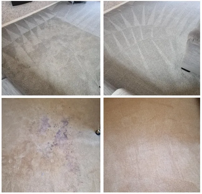 Carpet stain treatment by Cobra Cleaning