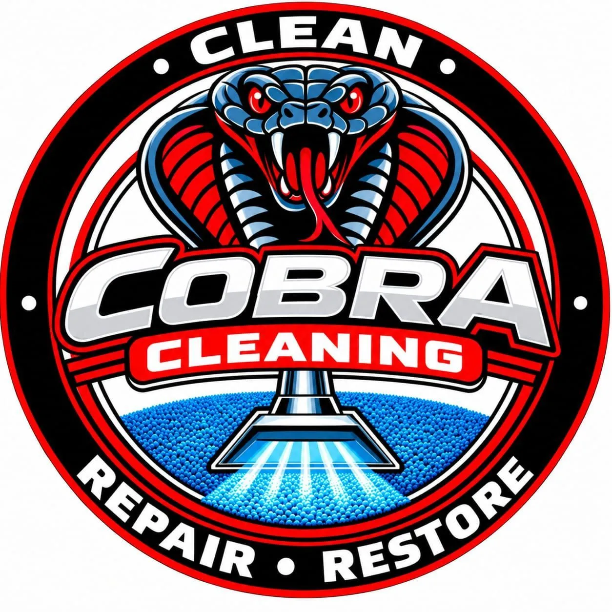 Cobra Cleaning