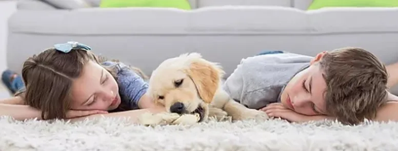 Family relaxing together on a clean carpet
