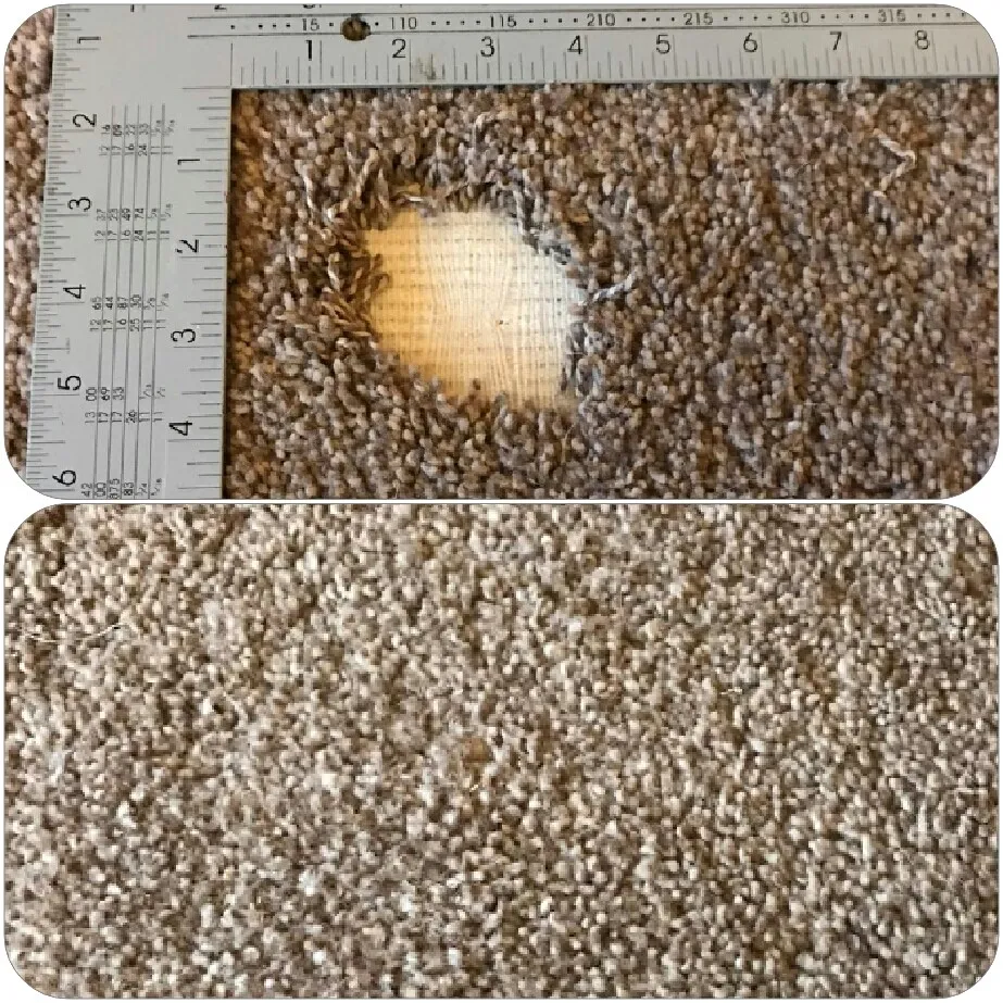 Carpet burn damage before a repair