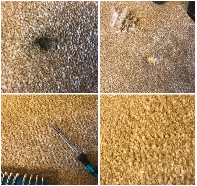 Close-up of carpet damage for specialist repair
