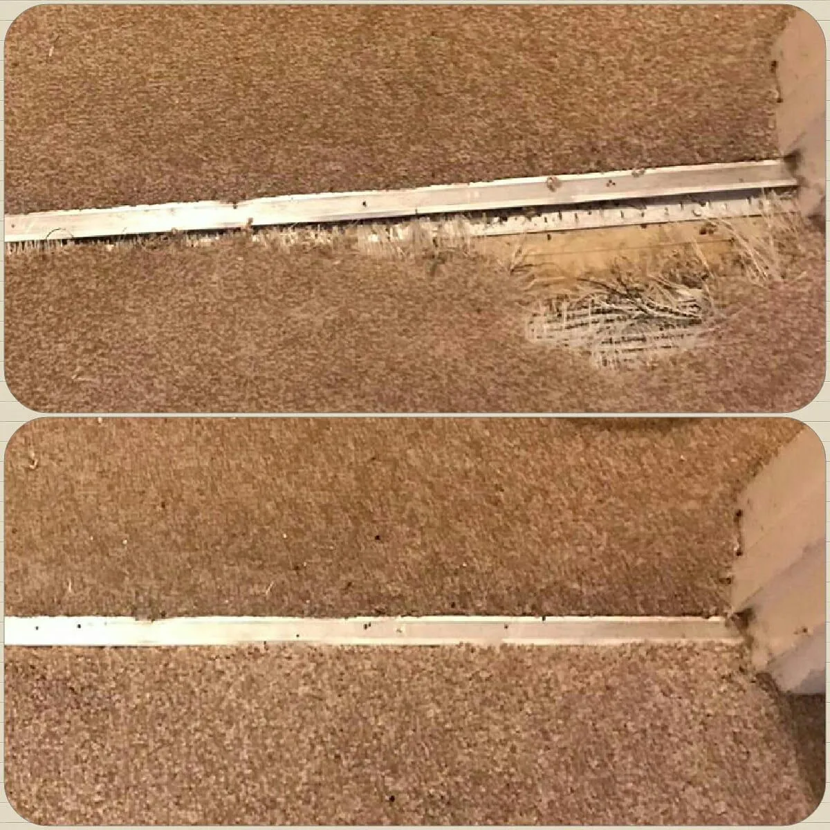 Carpet seam and edge repair work